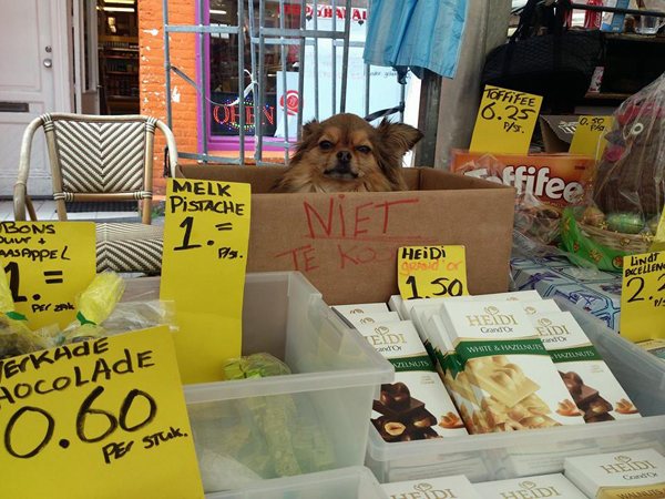 West, Ten Katemarkt: Niet te koop