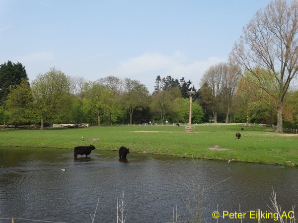 Amstelpark 2